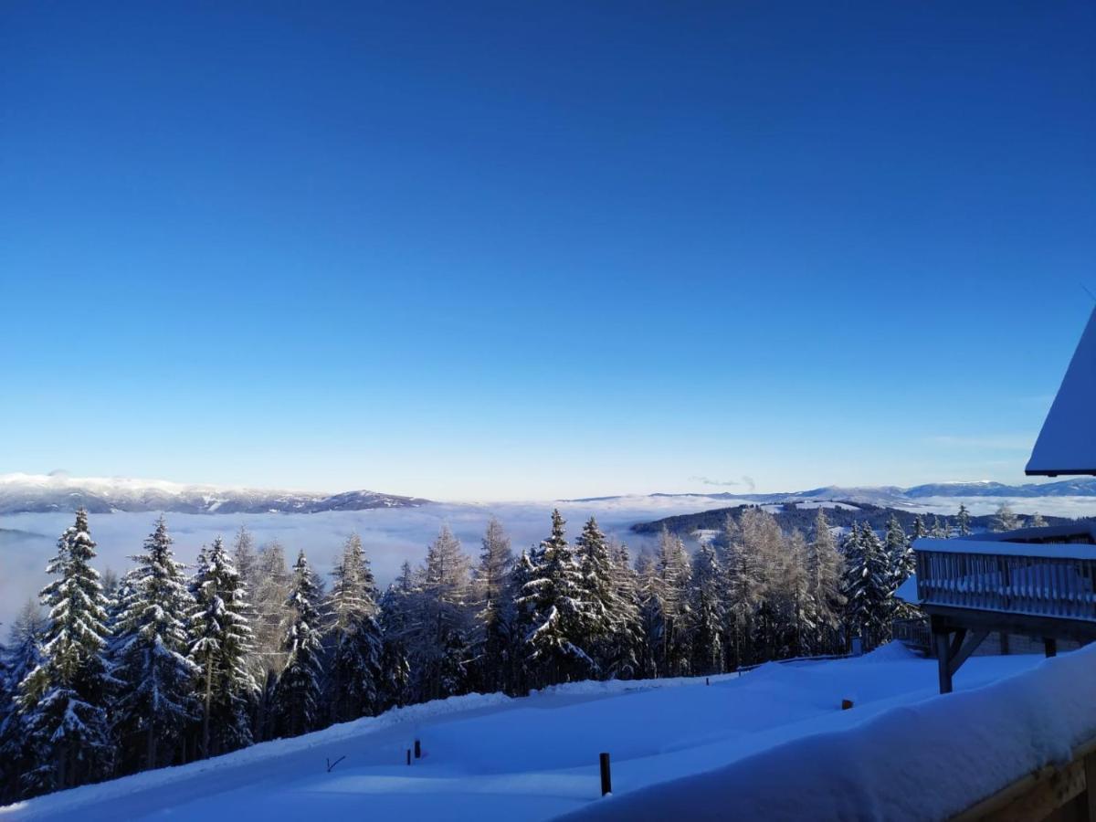 Almchalet Huettenzauber Klippitztorl Экстерьер фото